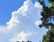 新兴天气预报,新兴7天天气预报,新兴15天天气预报,新兴天气查询